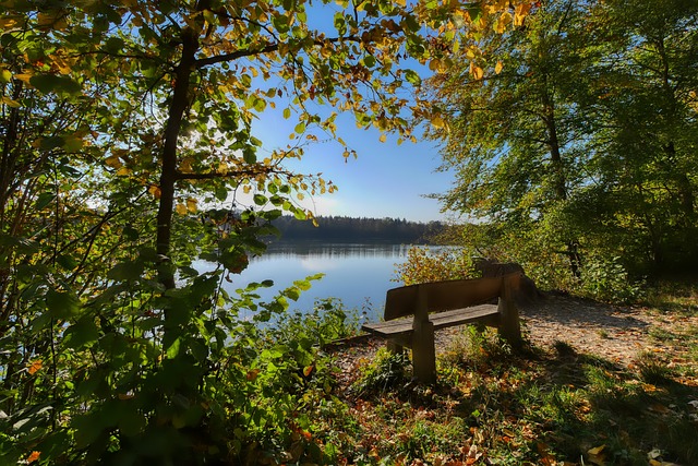 这中卫是真正的后防领袖